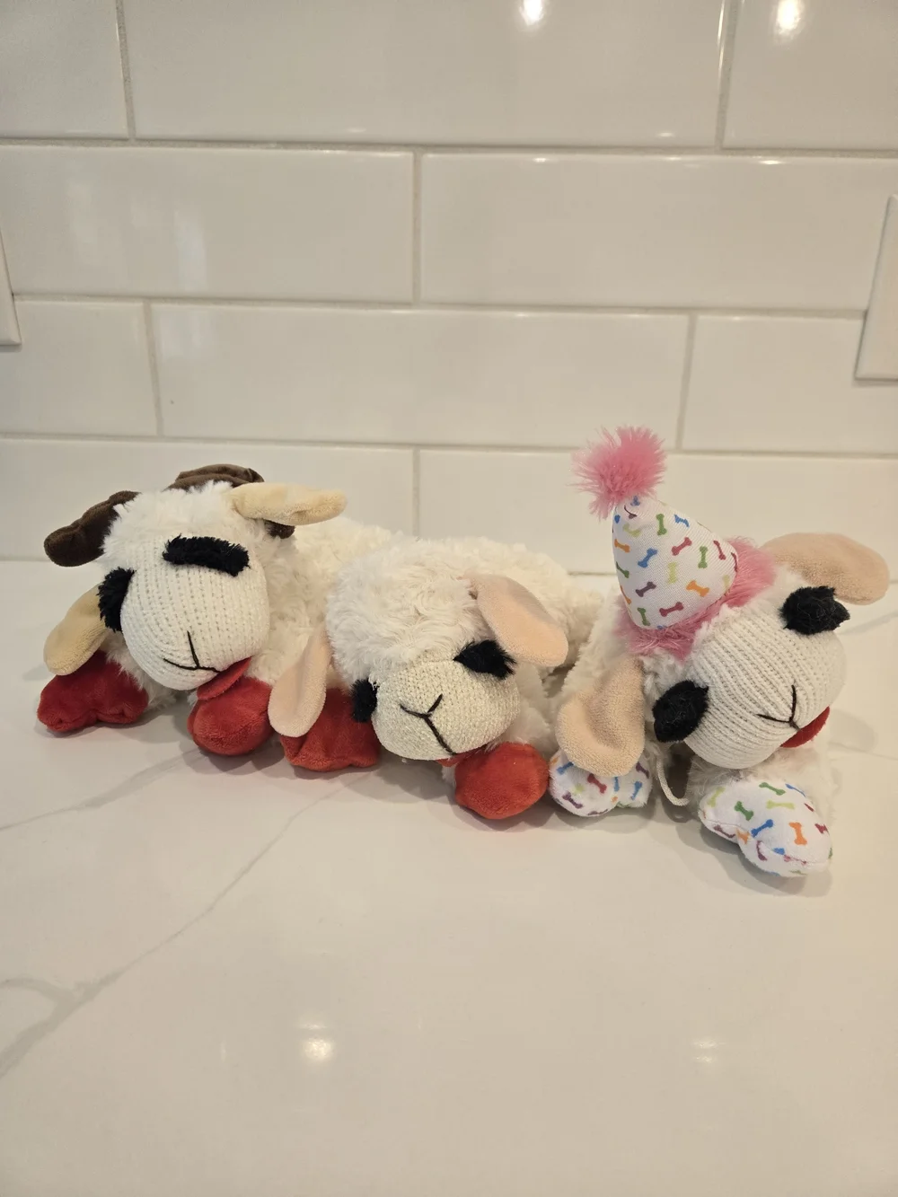 Lamb Chop Dog Toys